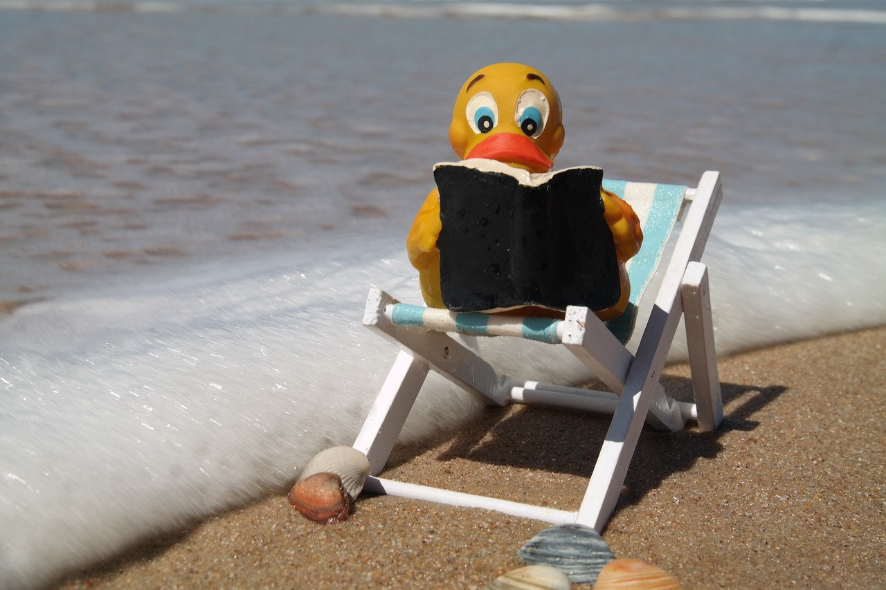 duck, read, wave-5434605.jpg